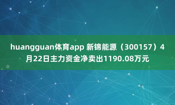 huangguan体育app 新锦能源（300157）4月22日主力资金净卖出1190.08万元