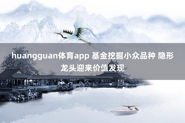 huangguan体育app 基金挖掘小众品种 隐形龙头迎来价值发现