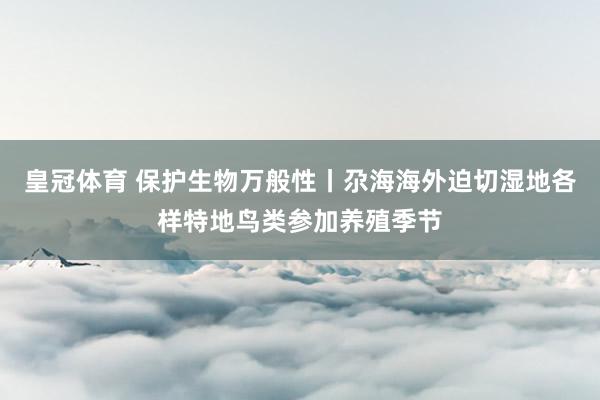 皇冠体育 保护生物万般性丨尕海海外迫切湿地各样特地鸟类参加养殖季节