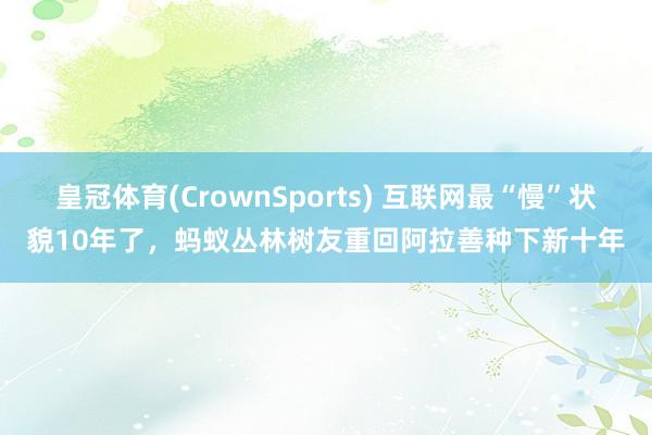 皇冠体育(CrownSports) 互联网最“慢”状貌10年了，蚂蚁丛林树友重回阿拉善种下新十年