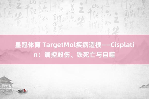 皇冠体育 TargetMol疾病造模——Cisplatin：调控毁伤、铁死亡与自噬