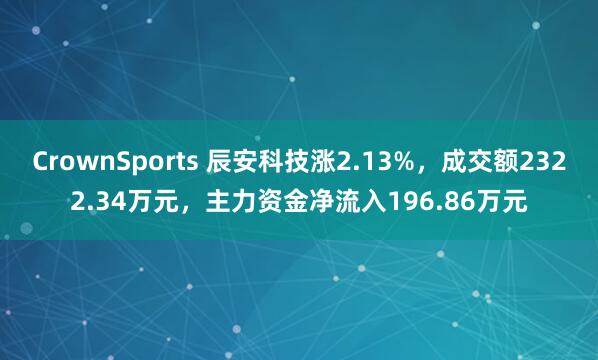 CrownSports 辰安科技涨2.13%，成交额2322.34万元，主力资金净流入196.86万元