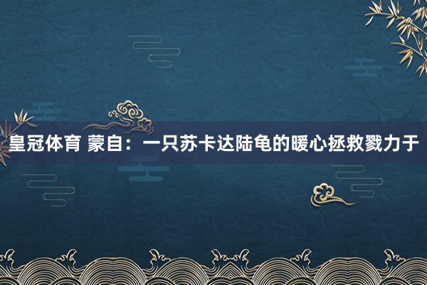 皇冠体育 蒙自：一只苏卡达陆龟的暖心拯救戮力于