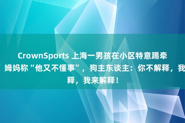 CrownSports 上海一男孩在小区特意踢牵绳小狗，姆妈称“他又不懂事”，狗主东谈主：你不解释，我来解释！
