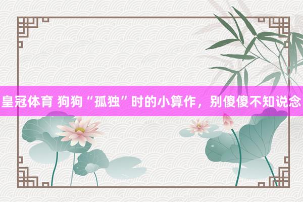 皇冠体育 狗狗“孤独”时的小算作，别傻傻不知说念