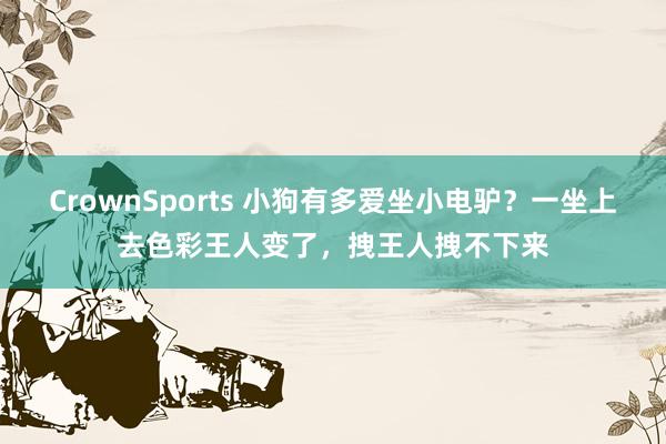 CrownSports 小狗有多爱坐小电驴？一坐上去色彩王人变了，拽王人拽不下来