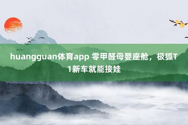 huangguan体育app 零甲醛母婴座舱，极狐T1新车就能接娃